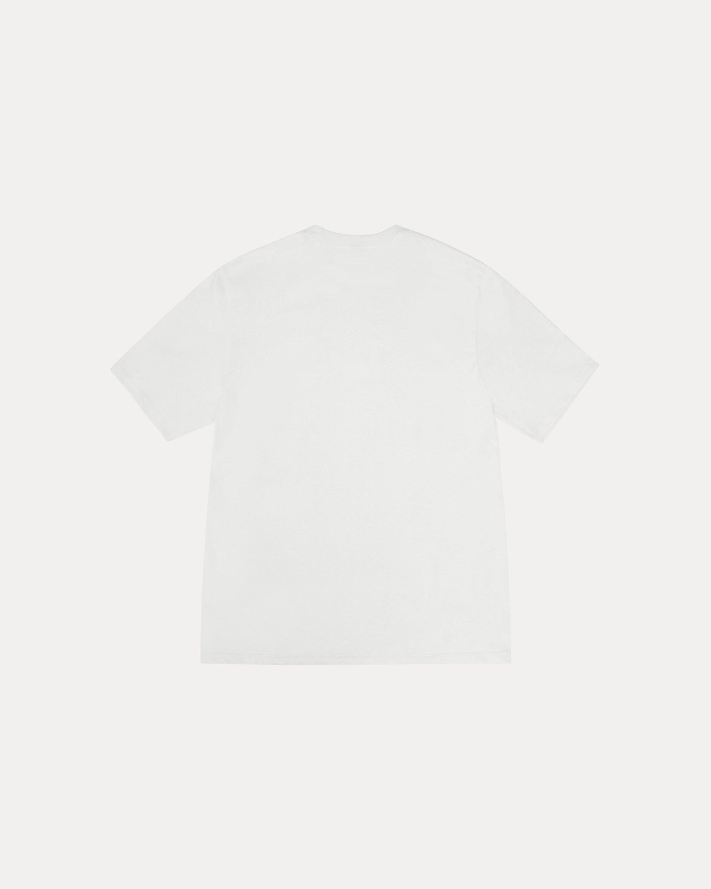 BIG & MEATY TEE PIGMENT DYED