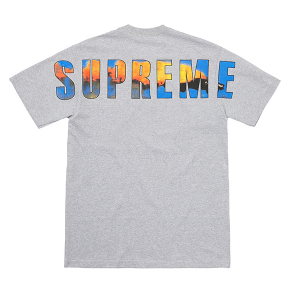Supreme Crash Tee -Heather Grey