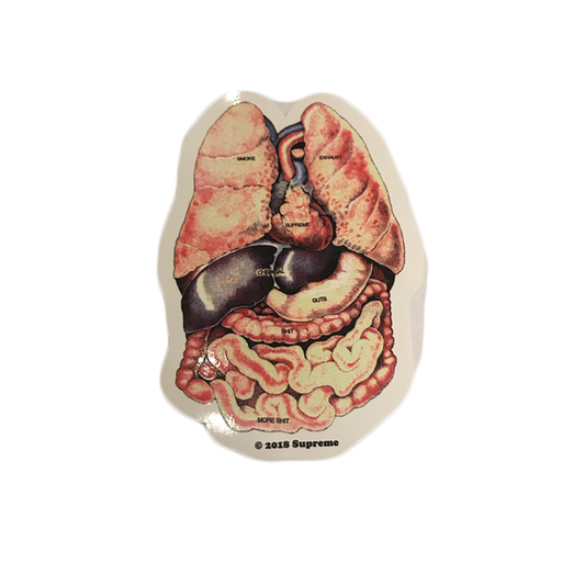 Supreme Guts Sticker